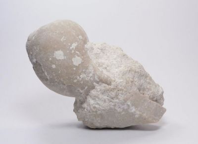 Plž Galba sp. - Kotouč, Štramberk u Příbora